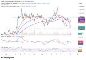 随着全球市场风险偏好降低,比特币、以太坊和瑞波币等主流加密货币价格出现回调。本文深入分析当前加密市场趋势,机构资金流向及技术指标,帮助投资者了解市场动态与未来走向。

