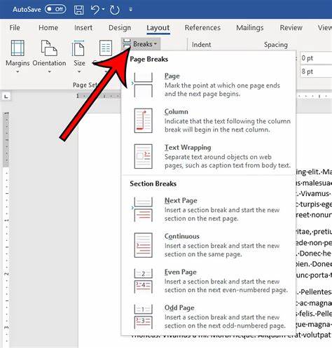 掌握删除 Word 文档中空白页的实用技巧,全面解析常见空白页产生原因及四种简单高效的解决方案,帮助用户提升办公效率,轻松打造整洁专业的文档排版效果。
