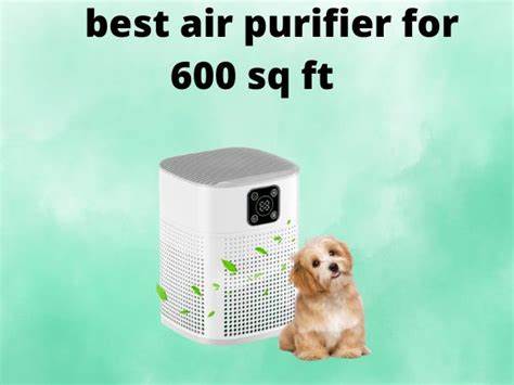 面向树脂打印爱好者和专业工作室的实用选购指南,深入解析适合应对树脂挥发性有机物与微粒污染的五款空气净化器,涵盖过滤技术、覆盖面积、噪音表现、安装维护与安全操作建议,助力构建更健康的打印环境
