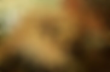 围绕法语成人视频在xHamster TV平台上的市场表现、受众特征、内容分类、SEO优化与合规运营提出深入分析与实用建议,帮助内容创作者与站点运营者在尊重法律与道德的前提下优化流量与用户体验
