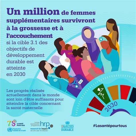 围绕性健康的定义、核心议题、预防与医疗服务、性教育与权利保障,以及如何在社区和政策层面推动包容与可及性的实用指南和策略
