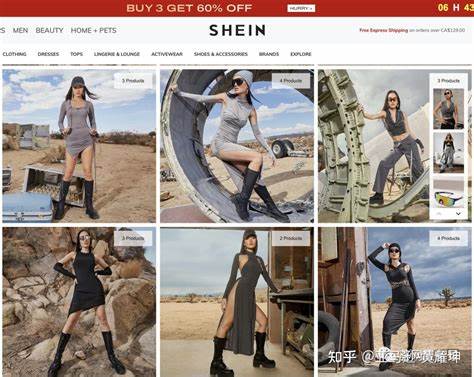 揭示SHEIN如何从一家不起眼的电商企业逐步成长为全球领先的快时尚品牌,分析其商业模式、市场策略与未来发展趋势,解读快时尚行业的发展脉络。
