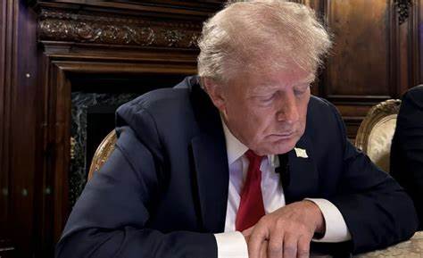 Data firm is building 'detailed portraits of Americans' on Trump's order