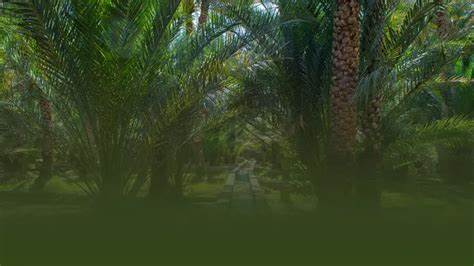 阿布扎比农业与食品安全局(ADAFSA)确认在农业用地上禁止加密货币挖矿,旨在保护农地资源、保障食品安全和可持续发展,文章解读背景、理由、影响与应对策略,为农场主与政策制定者提供实用建议。
