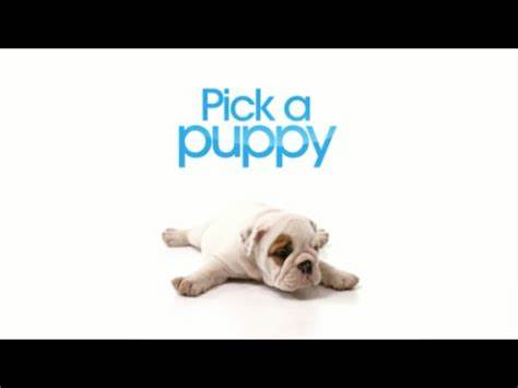 探索热门系列《Pick a Puppy》第1季第6集,解读挑选小狗的重要因素与养犬经验,帮助潜在宠物主人作出明智决定,享受养狗带来的幸福生活。
