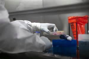 一家专注于生物技术的公司面临三家新冠检测实验室的财务困境,选择通过美国第十一章破产保护法律程序寻求重组,同时积极布局加密货币资产以期改善财务结构与增强股东价值。
