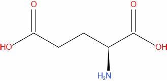 解析L-谷氨酸与L-谷氨酰胺在化学结构、代谢路径、生理作用、膳食来源与补充剂标示差异,提供基于证据的应用建议,帮助运动者和普通消费者正确理解产品标签与营养需求。
