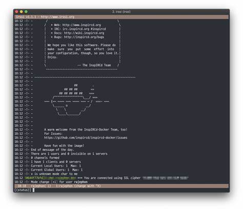 深入解析Irssi IRC客户端及其在Docker容器中的应用优势与配置方法,帮助用户实现轻量、高效、安全的聊天环境搭建。
