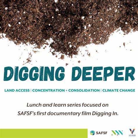 剖析欧洲在开源生态中的现状与挑战,提出面向企业、政府与社区的治理、投资、人才与合规路径,以推动数字主权、产业竞争力与网络安全升级。
