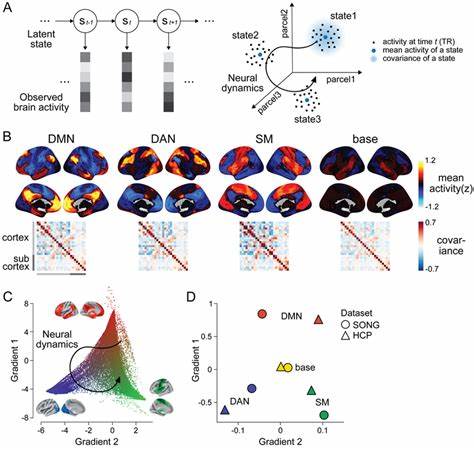 神经网络通过将高维数据映射到低维潜在空间,实现数据的紧凑且结构化表达。本文深入探讨神经模型作为潜在空间动力系统的独特视角,解读编码-解码映射引发的向量场及其吸引子现象,揭示其在模型泛化、记忆机制及异常样本识别中的关键作用,助力理解和优化现代神经模型的表现和应用。
