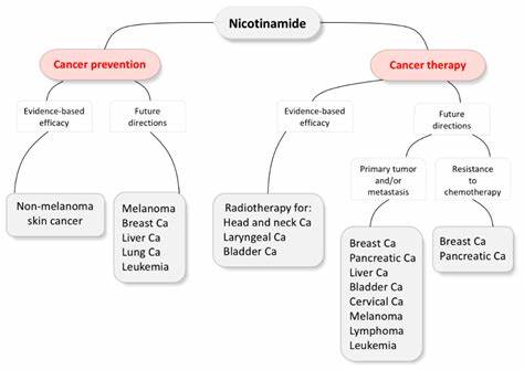 深入探讨烟酰胺作为一种辅助药物在皮肤癌化学预防中的效果,涵盖最新研究成果、适用人群及未来发展方向,帮助读者全面了解其临床价值与科学依据。

