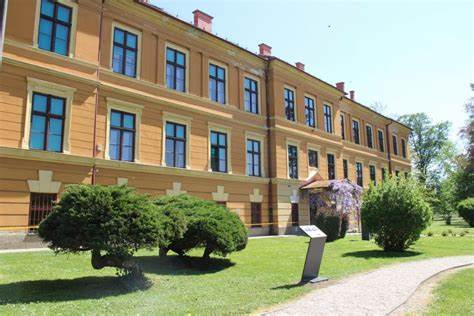 详细介绍里耶卡教师学院的学术优势、课程设置、研究活动及其在国际交流和职业发展中的重要角色,助力学生和教育工作者全面了解该学院的独特价值与机遇。
