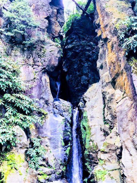 圣米格尔岛的鹤顶瀑布(Salto do Cabrito)不仅拥有壮丽的自然风光,更是徒步爱好者和自然探险者的天堂。路线介绍、交通指南及实用装备建议,带你深入了解这片宁静而迷人的秘境。
