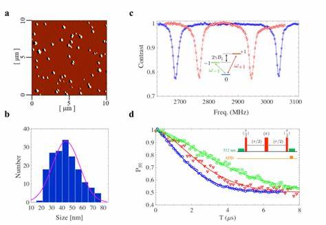氮空位中心作为室温单光子源在量子信息和量子通信领域具有广泛应用潜力,结合混合纳米天线技术能够显著提升单光子收集效率,推动量子光学器件的发展与优化。本文深入解析氮空位中心的光学特性及混合纳米天线的设计理念,探讨两者结合带来的技术突破和未来应用前景。
