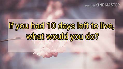 探讨在生命仅剩十年时,人们如何重新审视生活的价值与目标,如何调整心态和行动以实现内心的平静与满足。通过不同角度解读时间的宝贵,激励人们珍惜当下,发现属于自己的生活真谛。
