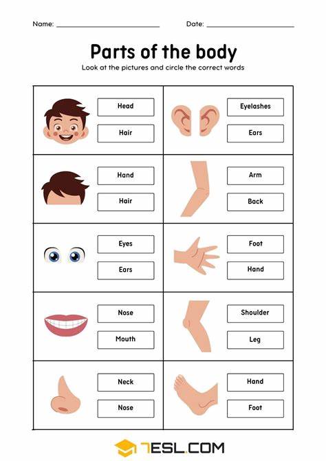 以一段碎片化的对话文本为起点,解读身体在现代叙事、身份建构和心理体验中的多重含义,兼顾理论阐释与实用方法,帮助读者在日常生活中重建身体感知与身心连结。
