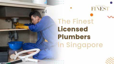 详细解析新加坡持牌水管工的选择标准及服务优势,助您轻松解决各种家居管道问题,保障居家生活品质与安全。
