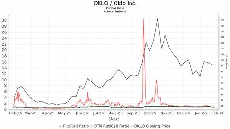 解析高盛对Oklo(OKLO)首份覆盖报告的要点,评估Aurora钠冷快堆的技术与商业前景,探讨自营模式的财务影响、监管进程、市场需求与竞争格局,为投资者提供理性决策参考
