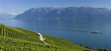 深入探索瑞士沃州丰富的自然景观与文化遗产,了解该地区最具吸引力的旅游目的地和独特体验,助您规划完美的2025年旅行。无论是历史建筑、世界知名的音乐节,还是迷人的湖泊与山脉,沃州都能满足各类游客的期待。
