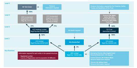 普利米尔公司宣布将被Patient Square Capital旗下公司收购,拟实现私有化,以增强财务灵活性并推动技术创新,助力医疗健康供应链优化与服务升级。此次战略转型不仅为股东带来溢价回报,还预示着公司下一阶段的扩展布局和增长潜力。
