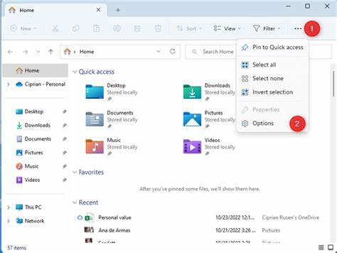 深入解析如何在Windows 10和Windows 11系统中访问文件夹选项,帮助用户轻松管理文件夹和文件显示设置,提高操作效率。
