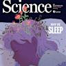 科学育儿:宝宝健康睡眠的科学指南
