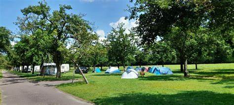 诺曼底以其丰富多样的自然景观和宁静的乡村环境,成为喜爱露营和户外活动者的天堂。丰富的森林、田园和牧场为自然露营区提供了理想环境,本文深入介绍诺曼底的自然露营区特色与魅力,帮您规划一场完美的生态住宿体验。
