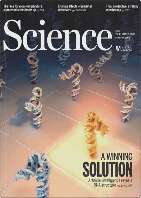 探讨RNA三维结构预测的技术难点、数据限制与机器学习进展,比较二级结构与三级结构在药物研发与生物技术中的实际价值,并评估未来科研方向与产业机会。
