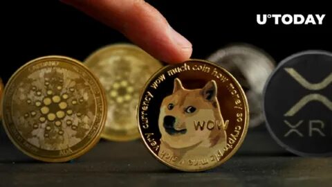 A Year Later: Which $1,000 Investment in XRP, DOGE, or SHIB Yielded the Best Return?