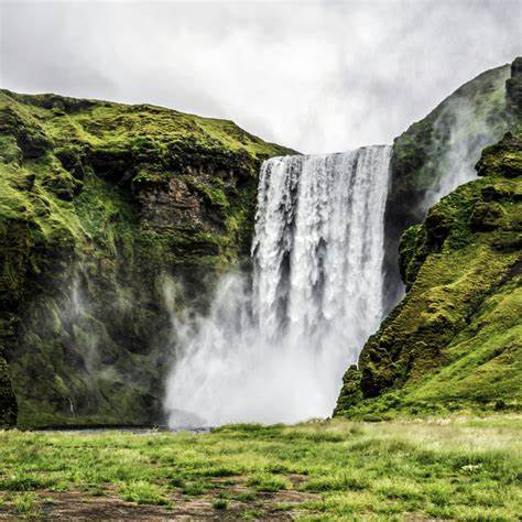 揭示大自然环境如何通过促进注意力恢复和情绪改善,科学地增强认知功能与身心健康。本文深入探讨环境神经科学的最新研究,展现自然对心灵的独特疗愈力量,帮助读者理解为何亲近自然能带来内在的平静与活力。
