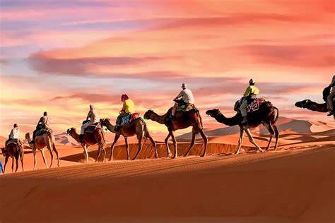 深入了解摩洛哥神奇南部的独特魅力,从丰富的文化遗产到壮丽的自然风光,为您的下一次旅行提供全面指南和实用建议。
