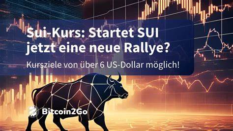 随着加密市场逐渐恢复活力,SUI凭借与谷歌的战略合作引发了投资者的强烈关注。本文深入解析SUI的技术优势、市场表现及未来潜力,探讨其能否实现40%的涨幅,再创新高。
