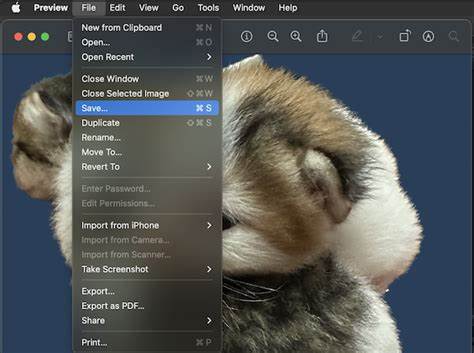 深入解析macOS中视觉图像识别进程mediaanalysisd的隐私风险,并介绍一款高效工具,帮助用户在不降低系统安全性的前提下,实时终止该进程,保护图片数据免受自动识别和联网查询的威胁。
