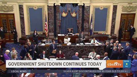 解析美国政府停摆对证券监管的即时影响,揭示SEC在拨款中断情况下仍能运行的法律与机制,以及对加密货币ETF、诉讼审查、市场监管和投资者风险的短中长期影响与应对建议。
