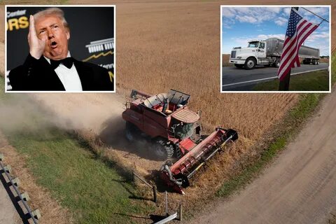 解析特朗普提议为美国农民提供至少100亿美元救助的背景动因、资金来源、政策选择与潜在经济政治影响,帮助读者全面把握这一政策对农业、市场与农村选民的意义
