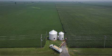 探讨中美贸易战背景下,美国农民如何成为贸易谈判中的关键筹码,以及这一局面对他们的生活、经济和未来所带来的深远影响。深入剖析贸易战背后的复杂因素及其对农业产业链的影响。
