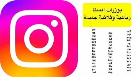 深入探讨2025年Instagram用户名的重要性、创建独特用户名的实用技巧以及针对个人用户和企业的命名策略,助力用户轻松打造吸引眼球的账号,提高品牌影响力与搜索排名。
