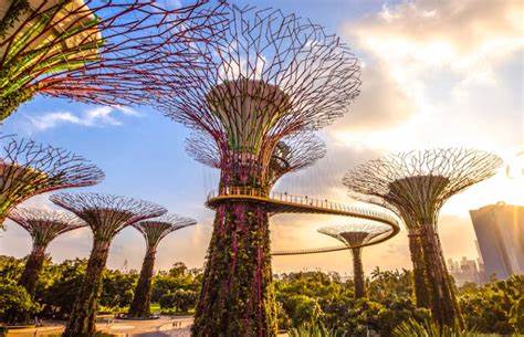 新加坡因其独特的遮荫规划和绿色城市建设理念,成为全球应对城市热岛效应与极端气候挑战的典范。本文深入探讨新加坡如何通过创新的遮荫基础设施和城市绿化策略,实现高密度都市中的凉爽舒适环境,及其对全球其他城市的启示意义。
