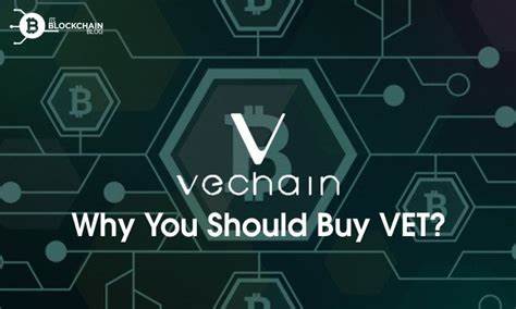 3 Reasons To Buy VeChain - The Motley Fool