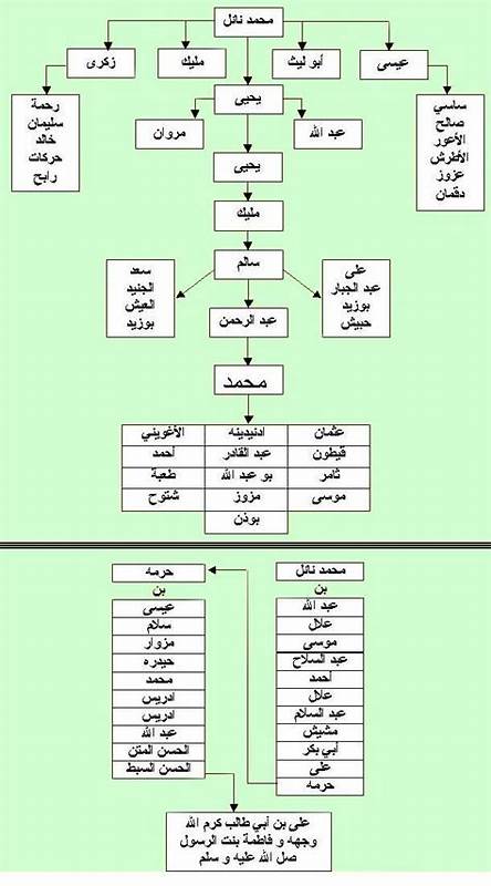 本文全面解析了乌拉德·纳伊勒部落的历史渊源、家族树结构以及主要分支,揭示了该部落在阿拉伯社会中的独特地位及其文化传承。文章内容丰富,适合对阿拉伯历史和部落文化感兴趣的读者深入了解。
