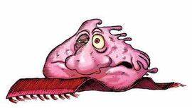 齐沃普,作为来自2364维度的胶状生命体王子,以其独特的身份和丰富的经历深入人心。他的故事跨越多个维度,融合了幻想与科幻元素,揭示了奇异的生命形态、复杂的人际关系以及跨维度的冒险探索。本文详细介绍了齐沃普的背景、其在赞莫尼恩世界中的历程及其异色人生的深层意义。
