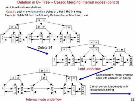 B+树节点欠载的抉择:合并还是借位
