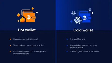 The 11 Best Bitcoin Wallets in 2024: Top Hot & Cold Options - CryptoPotato