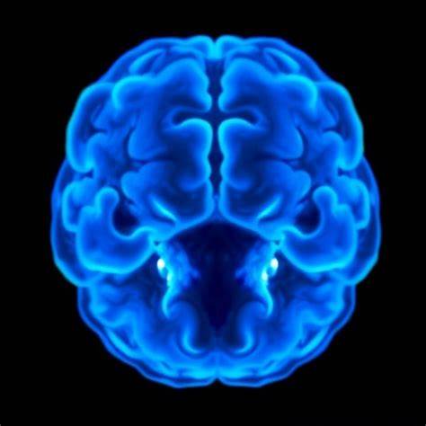 斯坦福工程团队研发出一种非侵入性、可逆转的透明化头皮技术,通过应用特殊化合物实现小鼠头皮的透明化,极大提升了脑神经发育动态监测的精度和便利性。这项技术为神经发育障碍的研究带来了新的视角和潜在的治疗突破,也为未来人类无创脑部成像技术的发展奠定了基础。
