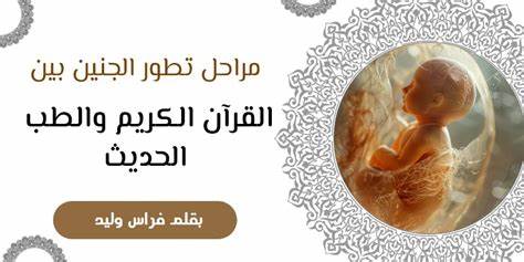 本文深入探讨了伊斯兰圣训中关于胎儿相似性的话题,结合现代遗传学理论与医学研究,揭示古代智慧与当代科学的契合,为理解胎儿发育与遗传特征提供多维视角。
