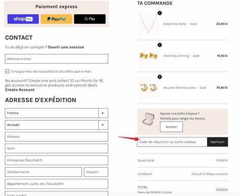 Où mettre le code lors de l'achat de minecraft?