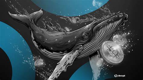 深入剖析比特币近期价格回调的原因,探讨为何巨鲸抛售未能带来预期的反弹,解读市场心理与技术因素对数字货币走势的影响。
