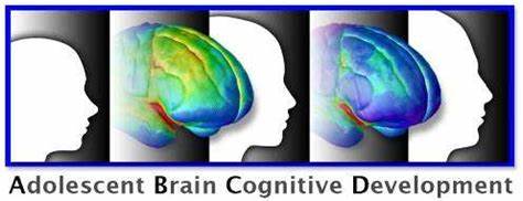 Adolescent Brain Cognitive Development Study and How We Think About Addiction