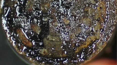 介绍Charm LA项目如何通过改造路易斯安那州的废弃油井,实现生物油注入技术,从而有效实现碳捕捉与储存,为地方经济和环境保护带来双重益处。
