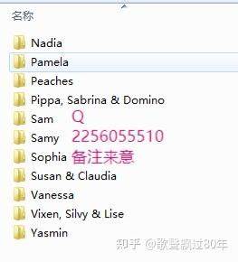 深入分析个人兴趣选择背后的心理因素及社会对特殊兴趣的态度,探讨在现代社会中如何理性看待和尊重多样化的文化表达与需求。
